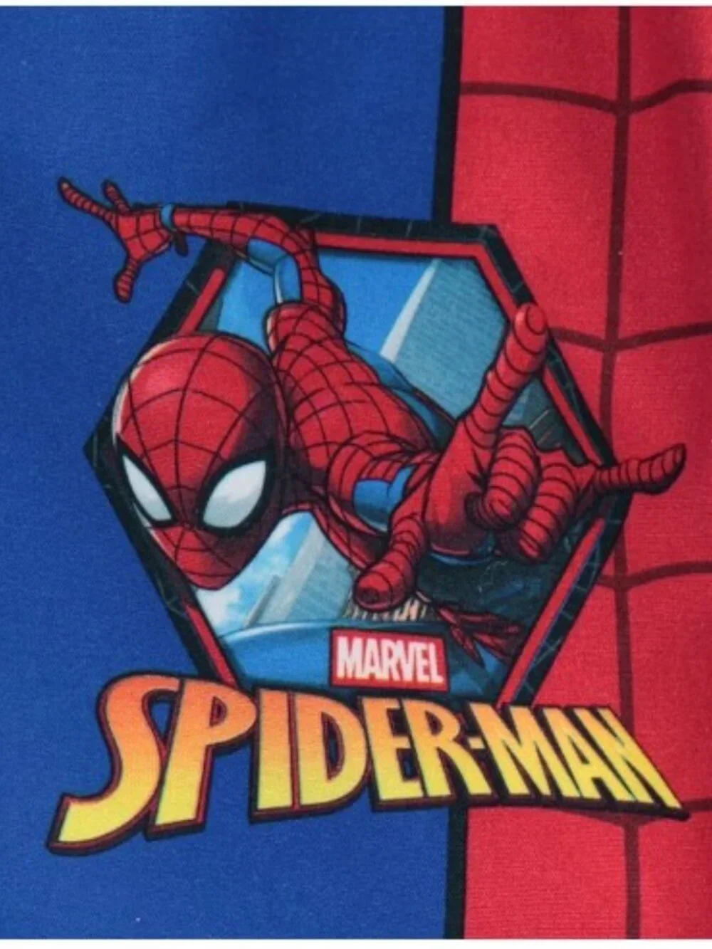 New! Marvel Spiderman Youth 2 Piece Rashguard and Swim Trunk Set